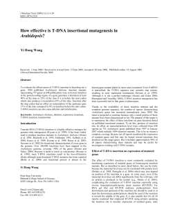 How effective is T-DNA insertional mutagenesis in Arabidopsis?