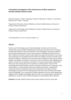 A descriptive investigation of the ultrastructure of fibrin networks in