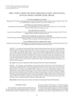 first turtle from the ipubi formation (early cretaceous), santana group