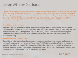 Johari Quadrant 1 – Arena Johari Quadrant 2 – Blind Spot