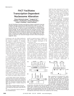 FACT Facilitates Transcription-Dependent