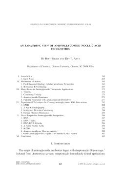 AN EXPANDING VIEW OF AMINOGLYCOSIDE&ndash;NUCLEIC ACID