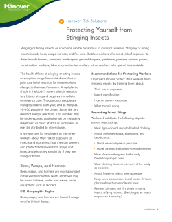 Protecting Yourself from Stinging Insects