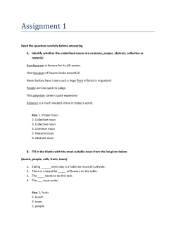 Assignment 1