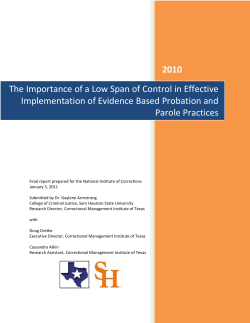 Span of Control NIC Report