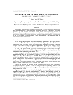morphological variability of acorns and its taxonomic significance in
