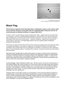 Black Flag - Nikolaj Kunsthal