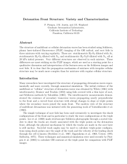 Detonation Front Structure: Variety and Characterization Abstract