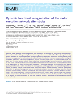 Dynamic functional reorganization of the motor