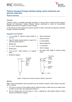 Passive transport through cellulose tubing: starch molecules and