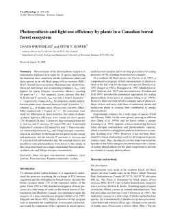Photosynthesis and light-use efficiency by plants in a Canadian