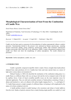 Morphological Characterization of Soot From the Combustion of