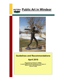 Public Art Plan - Town of Windsor