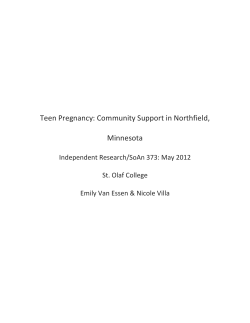 Teen Pregnancy: Community Support in Northfield