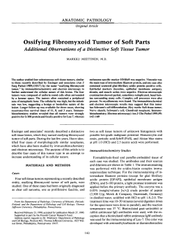 Ossifying Fibromyxoid Tumor of Soft Parts