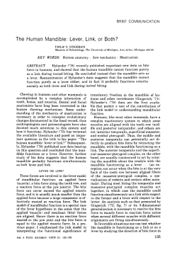 The Human Mandible: Lever, Link, or Both? - Deep Blue