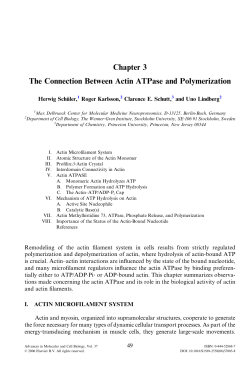 Chapter 3 The Connection Between Actin ATPase and Polymerization