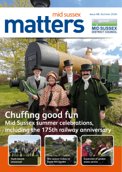 Chuffing good fun - Mid Sussex District Council