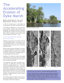 The Accelerating Erosion of Dyke Marsh