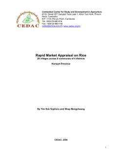 Rapid Market Appraisal on Rice
