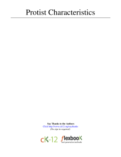 Protist Characteristics