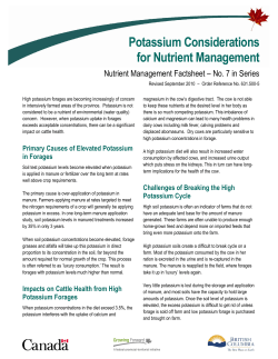 Potassium Considerations for Nutrient Management