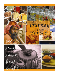 India 2016.pub