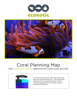 Coral Planning Map - Doctors Foster and Smith