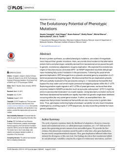 The Evolutionary Potential of Phenotypic Mutations