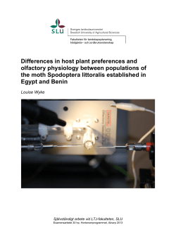Differences in host plant preferences and olfactory physiology