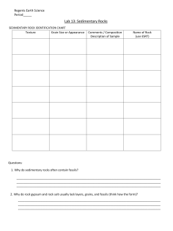 LAB # 13 SEDIMENTARY ROCKS