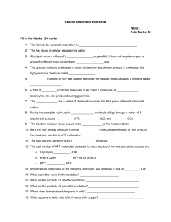 Cellular Respiration Worksheet And Graph