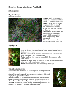 here - Burns Bog Conservation Society