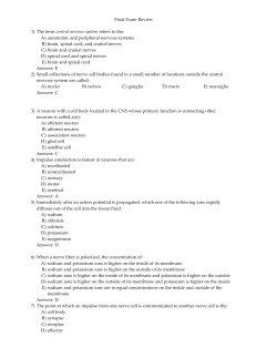 1) Final Exam Review The term central nervous system refers to the