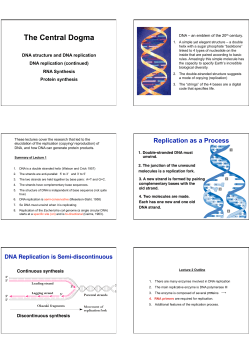 SF Genetics Lecture_Central Dogma_2.1 BY2208