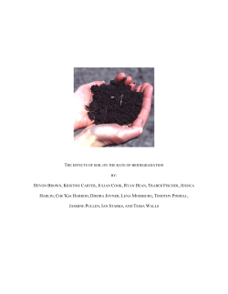 the effects of soil on the rate of biodegradation by