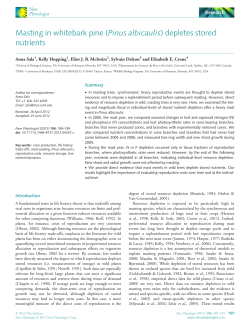 Masting in whitebark pine (Pinus albicaulis