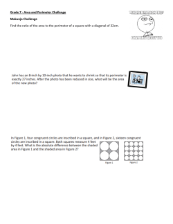 Grade 7 - Area and Perimeter Challenge Makunja Challenge Find