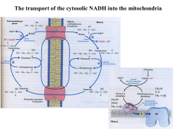 Photosystem II