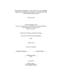 DETECTION, DIVERSITY, AND ACTIVITY OF