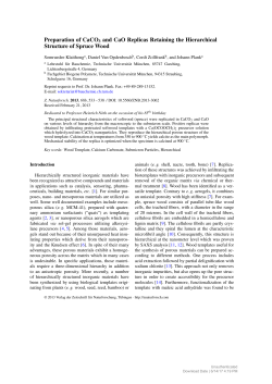 Preparation of CaCO3 and CaO Replicas Retaining the