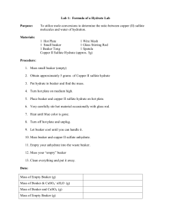 Copper II Sulfate Hydrate Lab