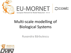 Multi-scale modelling of Biological Systems