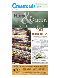 DECORATIONS - Autumn Harvest Pumpkins