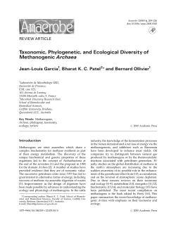 Taxonomic, Phylogenetic, and Ecological Diversity of Methanogenic