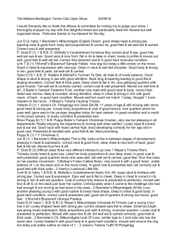 Judge`s critique - The Midland Bedlington Terrier Club