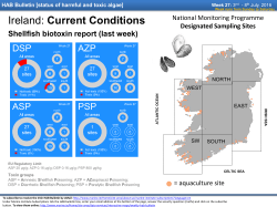 Ireland: Current Conditions