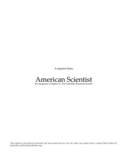 American Scientist - University of South Florida