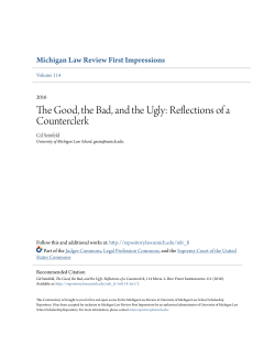 The Good, the Bad, and the Ugly: Reflections of a Counterclerk