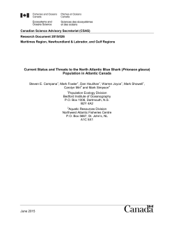 Current Status and Threats to the North Atlantic Blue Shark